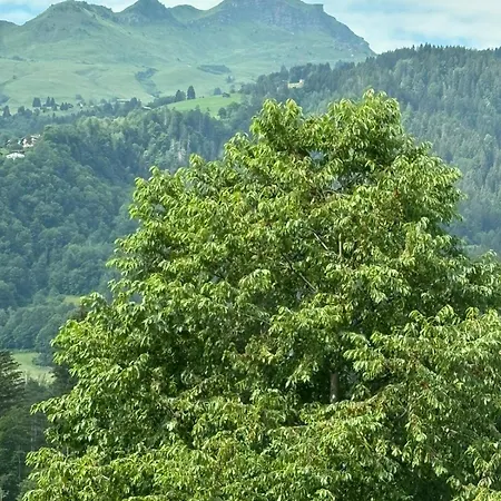 Landgasthof Zum Glenner * Ilanz/Glion