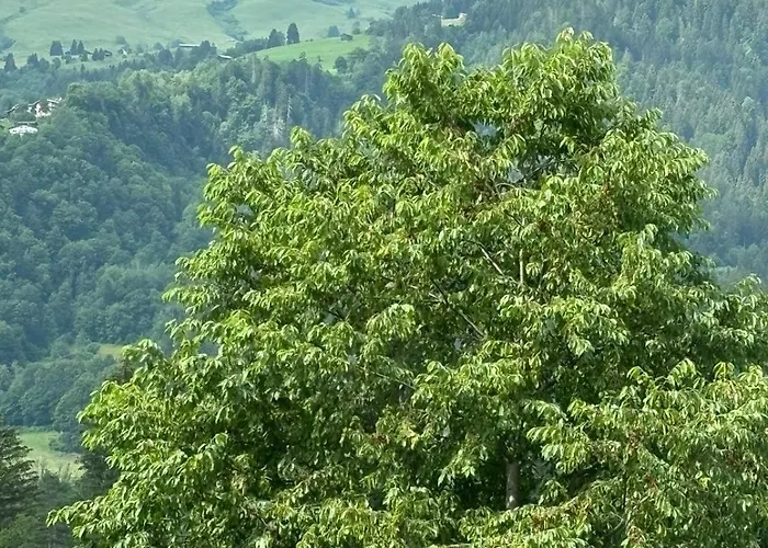 Landgasthof Zum Glenner * Ilanz/Glion